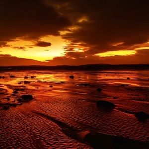 Meet your Posher, Cheyenne